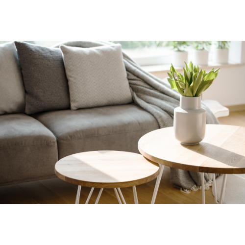 Modern living room with couch and coffee table